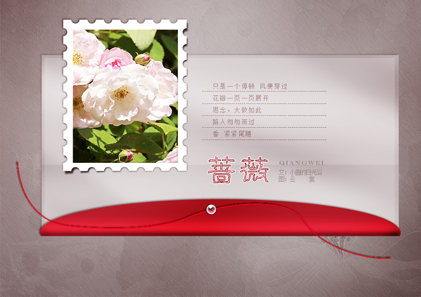 蔷薇3.jpg